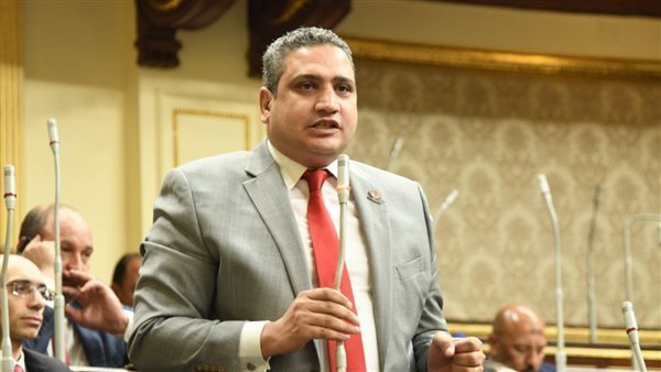 النائب عماد خليل