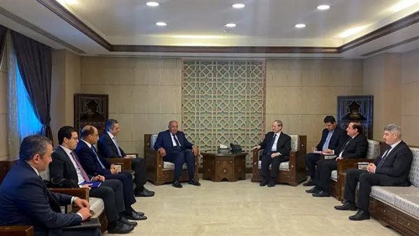 وزير الخارجية المصري