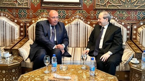 وزير الخارجية المصري