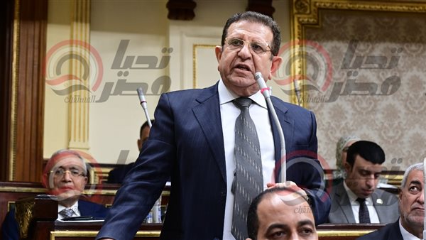  النائب يسرى المغازى