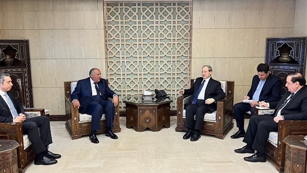 وزير الخارجية المصري