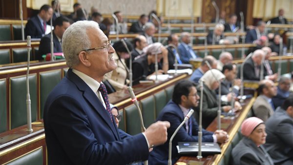 النائب عاطف مغاوري