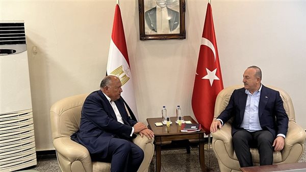 وزير الخارجية المصري