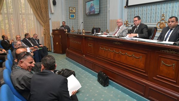  النائب هشام الحصرى