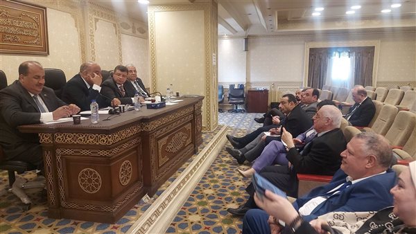 النائبة غادة علي