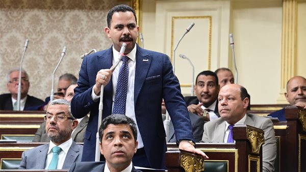 النائب أشرف رشاد