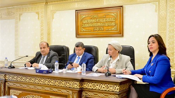 لجنة الشئون الاقتصادية