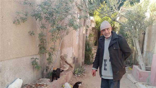 حامد يطعم القطط