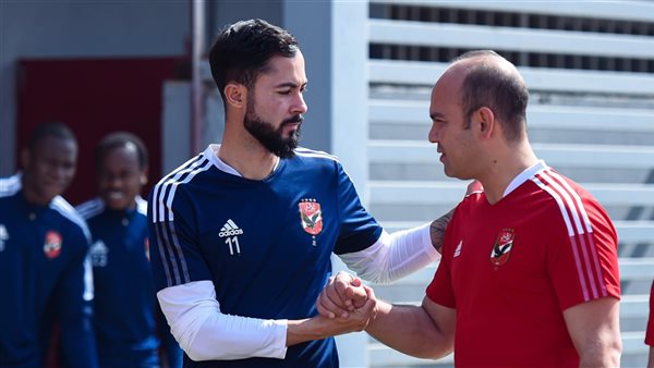 برونو سافيو 