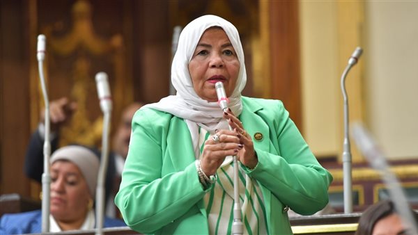 النائبة شادية الجمل