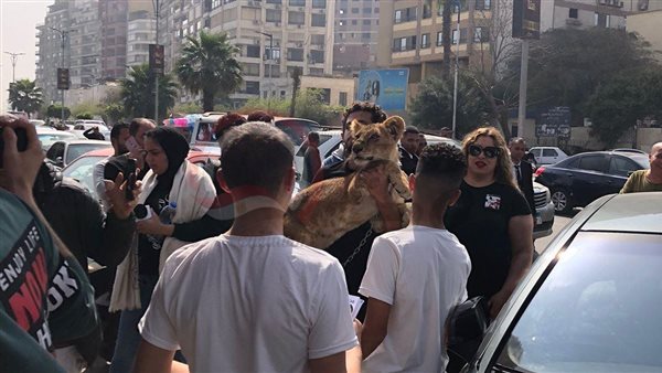 دعم أشرف زكي بالأسد