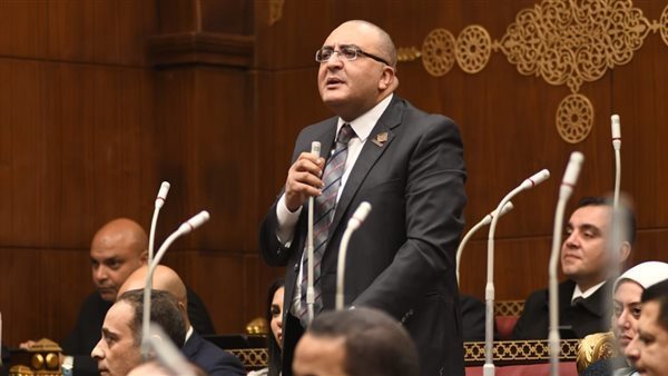 النائب عمرو عزت