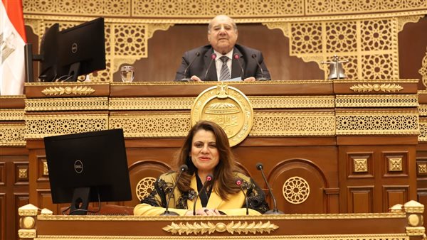  السفيرة سها الجندي