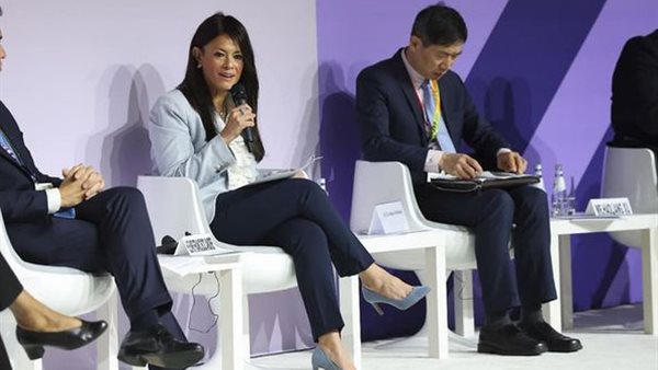 وزيرة التعاون الدولى