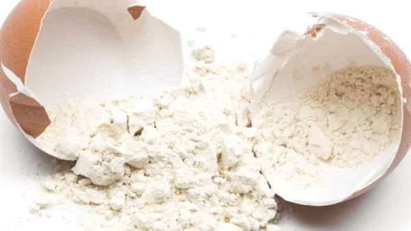 بيض البودرة