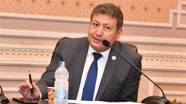 النائب طارق شكري