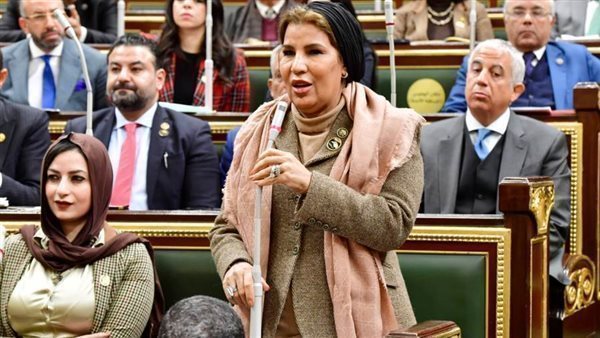  النائبة صبورة السيد