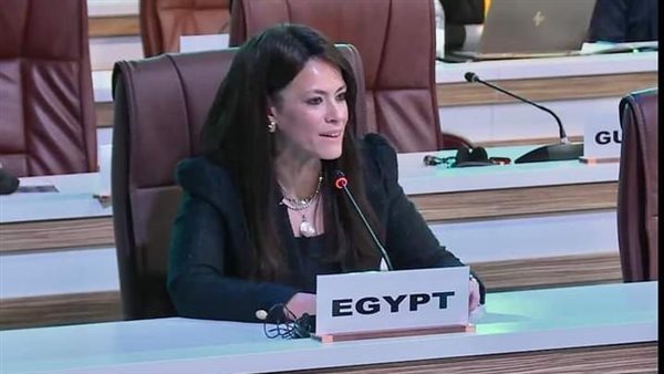 وزيرة التعاون الدولى