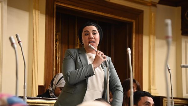 النائبة أميرة صابر