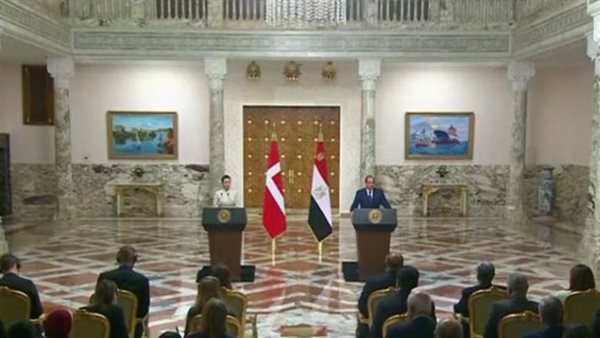 الرئيس السيسي: مصر لديها رؤية لتعزيز حقوق الإنسان تعتمد على الارتقاء بحياة  المواطنين