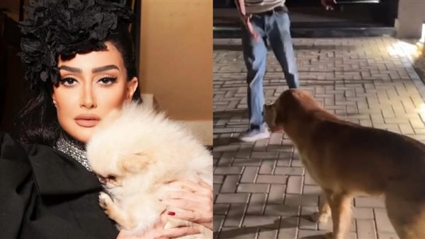 غادة عبد الرازق