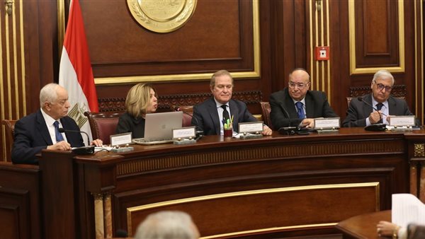  لجنة حقوق الإنسان