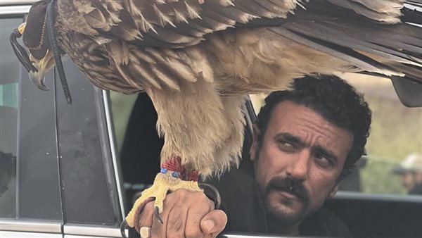 أحمد العوضي 