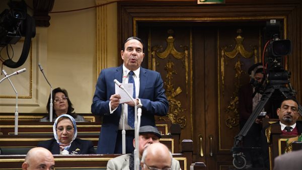 النائب أيمن أبو العلا