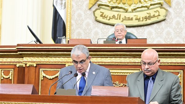 النائب عادل عبد الفضيل،