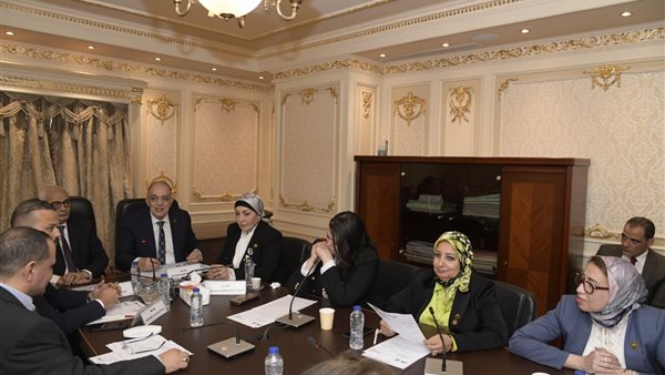 النائبة هالة ابو