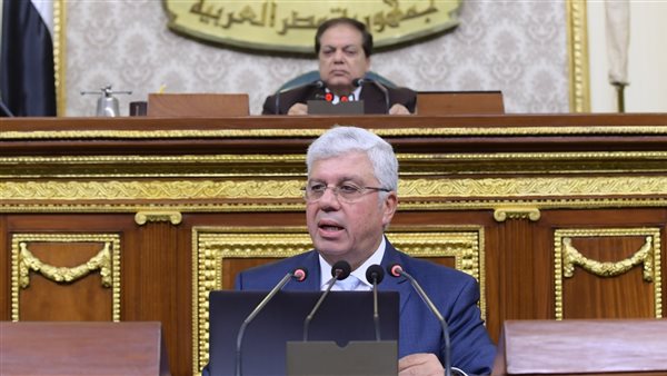  الدكتور أيمن عاشور