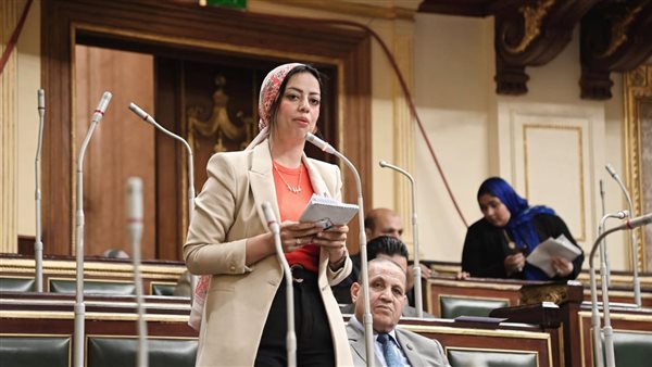 النائب رشا كليب