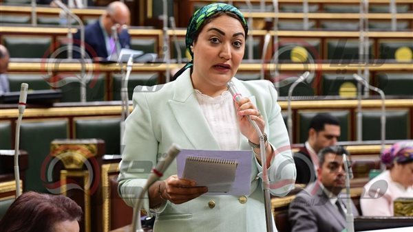  النائبة أسماء الجمال