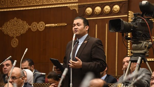 النائب محمد عمارة