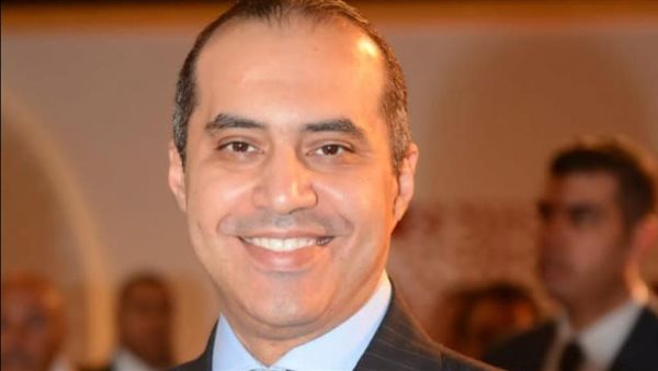 المستشار محمود فوزى