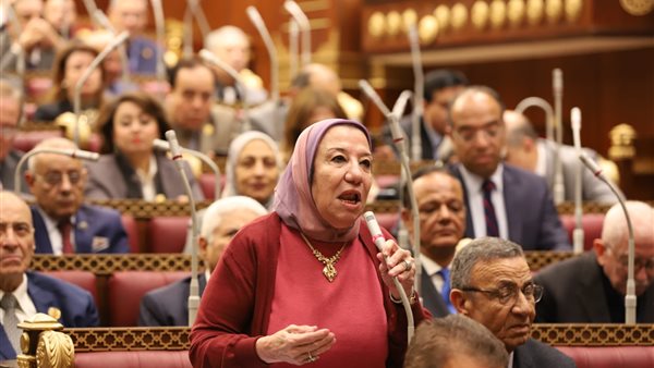 النائبة حياة خطاب