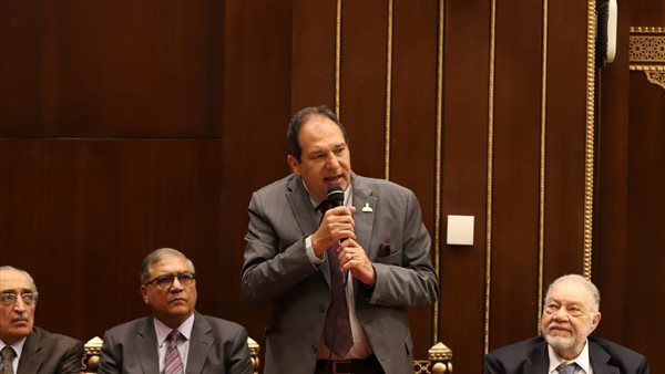 النائب حسام الخولي