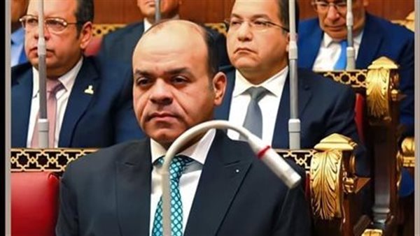 عمرو القماطي