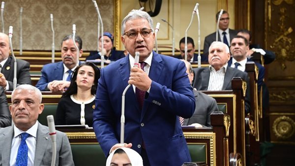 النائب أحمد السجينى