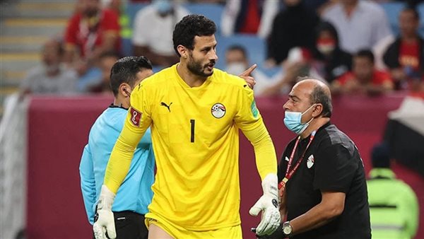 محمد الشناوي 