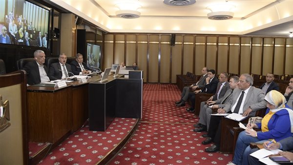  لجنة الإدارة المحلية