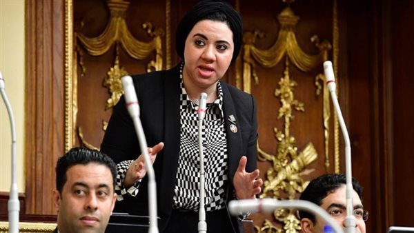  النائبة أميرة صابر