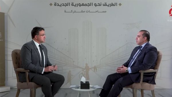 المستشار محمود فوزي