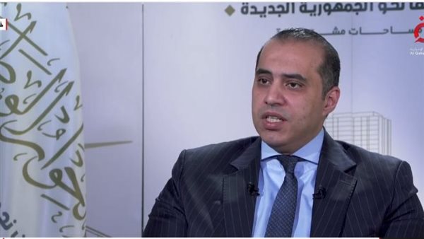 المستشار محمود فوزى