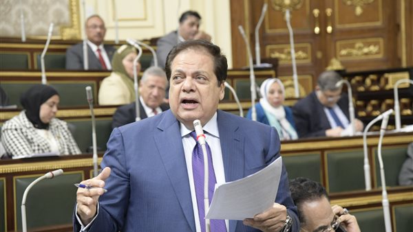 النائب محمد ابو العنين