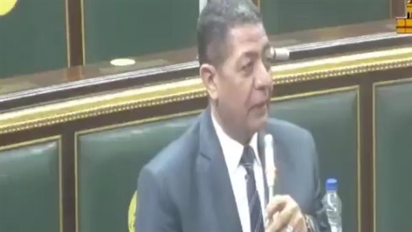 النائب أسامة المصري