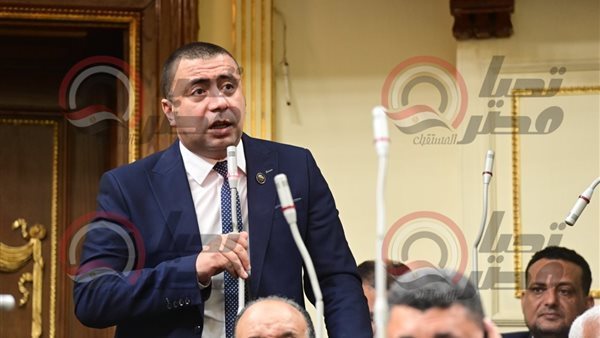 النائب أحمد بهاء