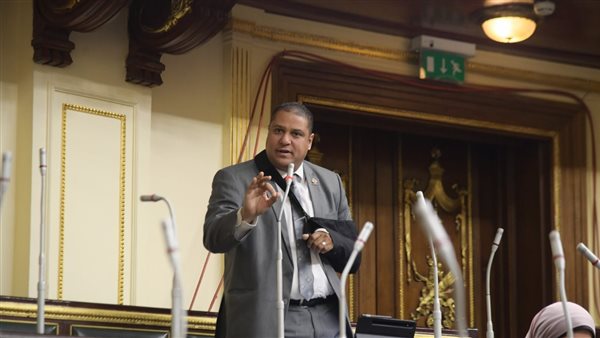 النائب محمد إسماعيل