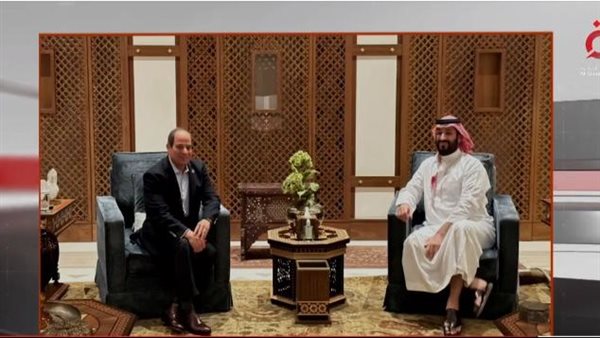 الرئيس السيسي وولي