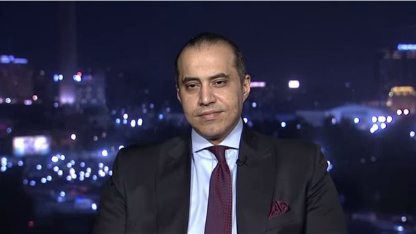 المستشار محمود فوزي